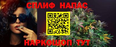 молекула духа Бердск
