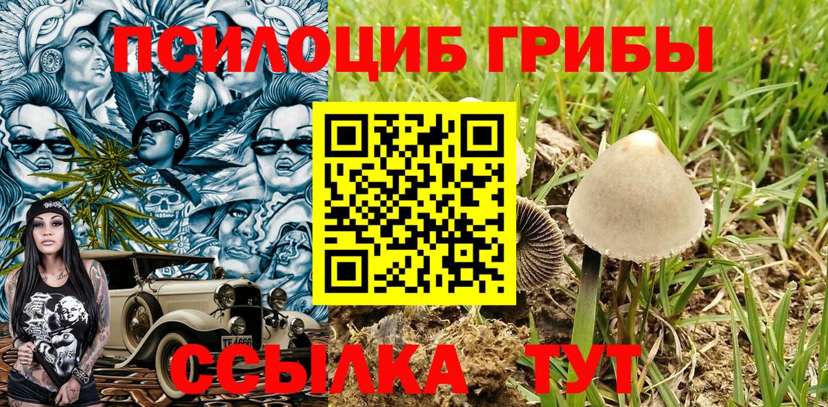 Волгоград  Галлюциногенные грибы прущие грибы  купить закладку  Вход с VPN  Галлюциногенные грибы Cubensis 