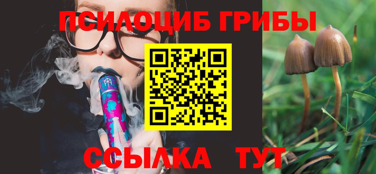 Галлюциногенные грибы Magic Shrooms Волгоград