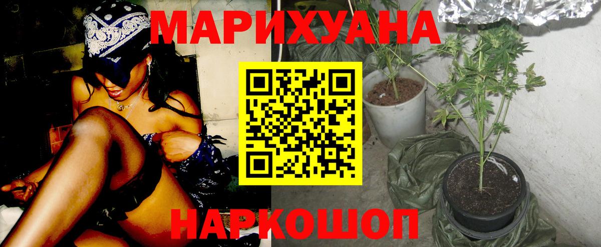 Волгоград  Бошки Шишки тримм  Шишки марихуана сатива  Вход с VPN  Марихуана планчик 